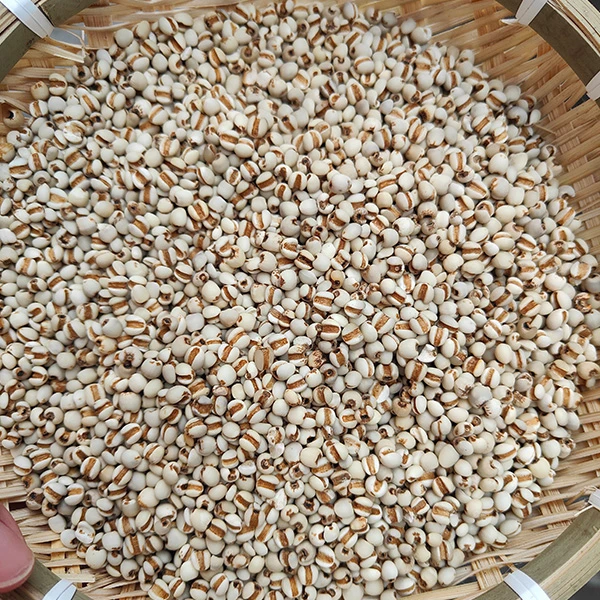 农家意米煲汤干货【可配枸杞】