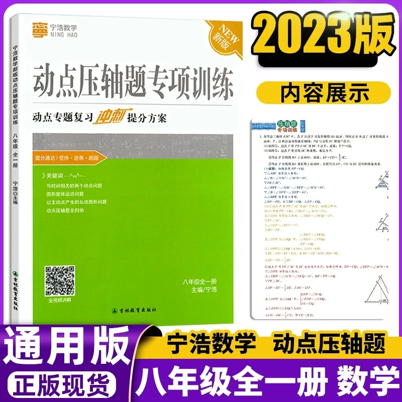 新版初中数学八年级动点压轴专项训练视频讲解复习教育