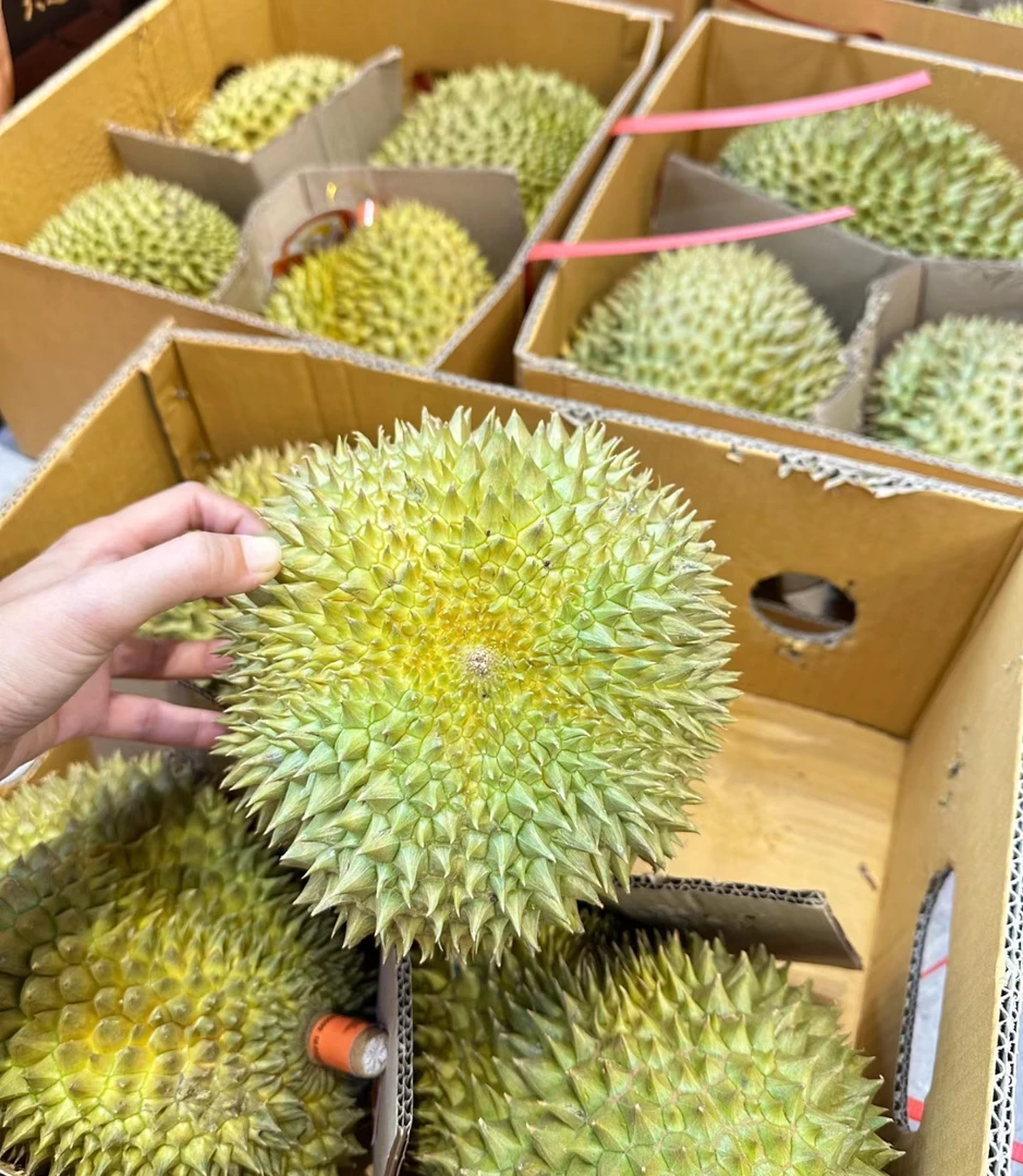 树熟金枕榴莲一物一拍