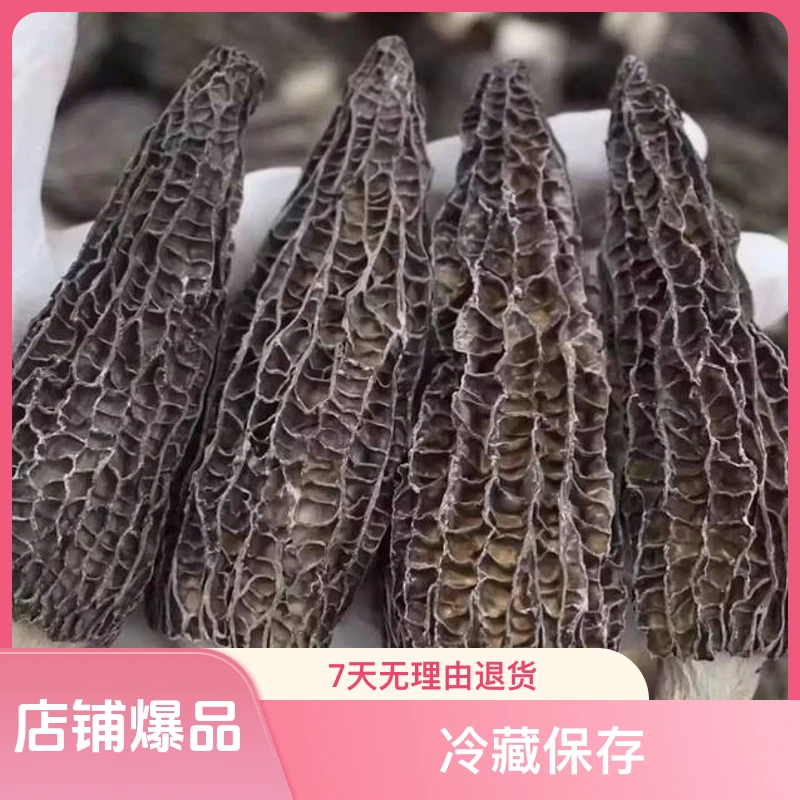 羊肚菌干品头茬的5-6公分，不套路讲实惠，丽姐羊肚菌头茬干羊肚菌