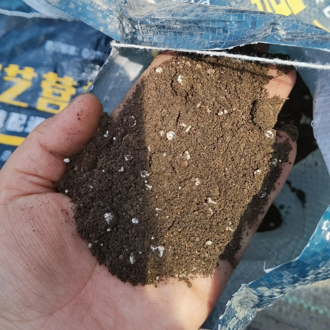 多肉法师营养土 大棚主基地用土 一袋重4斤 量少 花盆大多拍几包