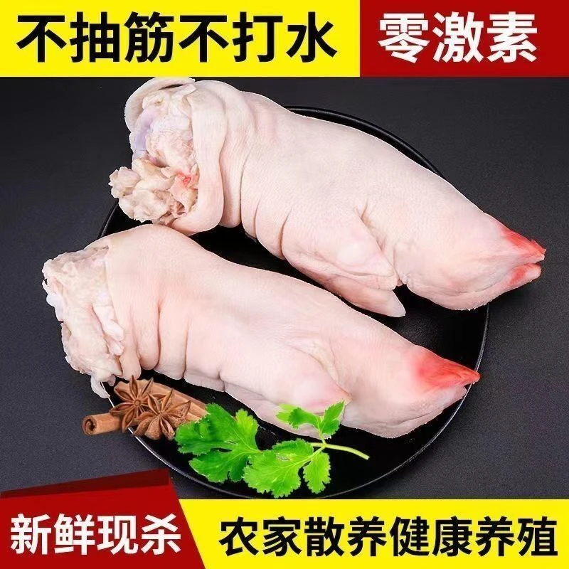 新鲜猪蹄猪蹄子猪手猪脚猪前蹄整只带筋发货香猪蹄个头小