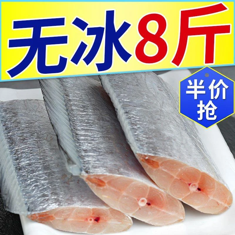 东海小眼带鱼段中段新鲜带鱼段大段去头去尾海鲜水产批发
