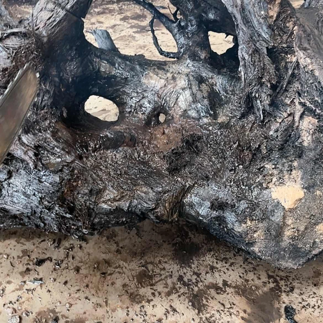 【闪购商品】骨瓷摆件恶*