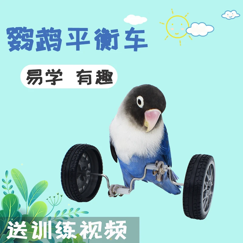 鹦鹉玩具益智解闷平衡车陪伴道具虎皮牡丹滑轮训练技能玄凤鸟玩具