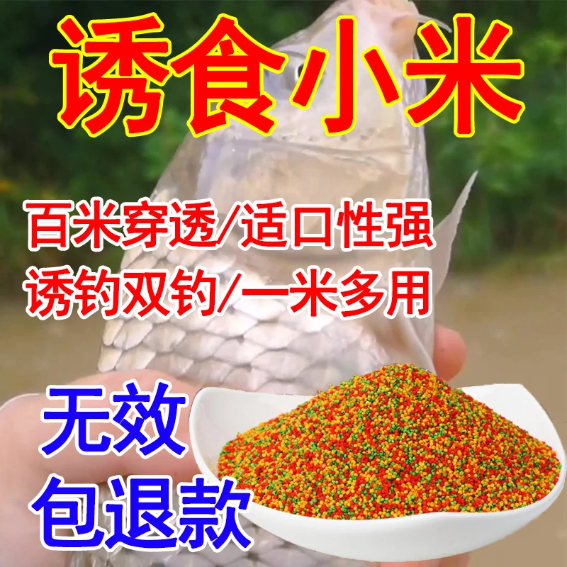 鲫鱼鲤鱼钓鱼麝香三色米酒米打窝米黑坑野钓麻团颗粒秒粘小米饵料