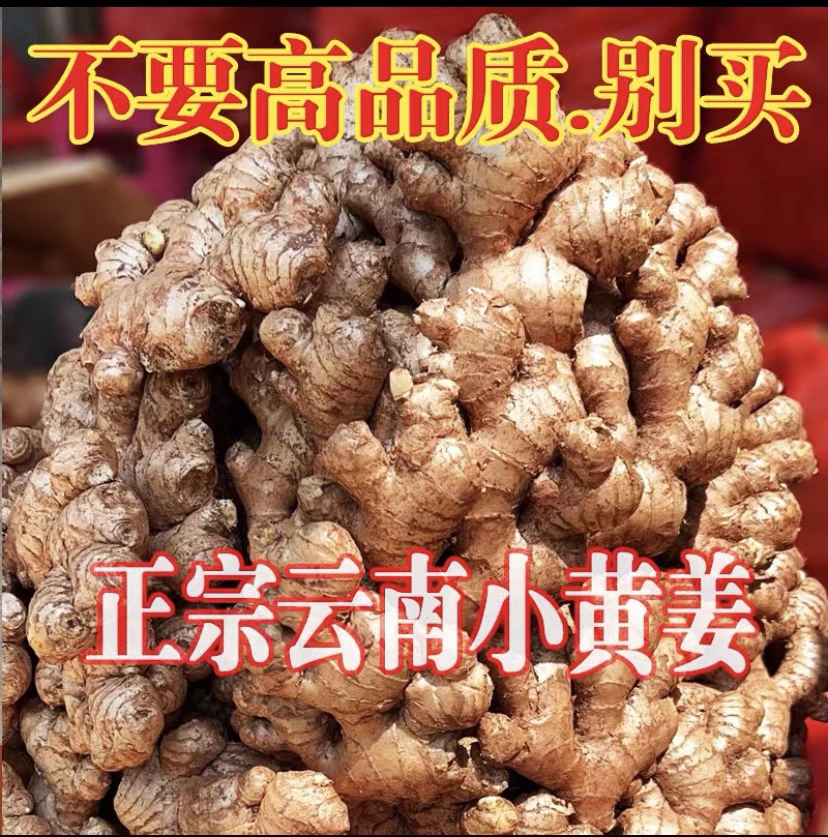 两年云南小黄姜老姜高山种植产地直发