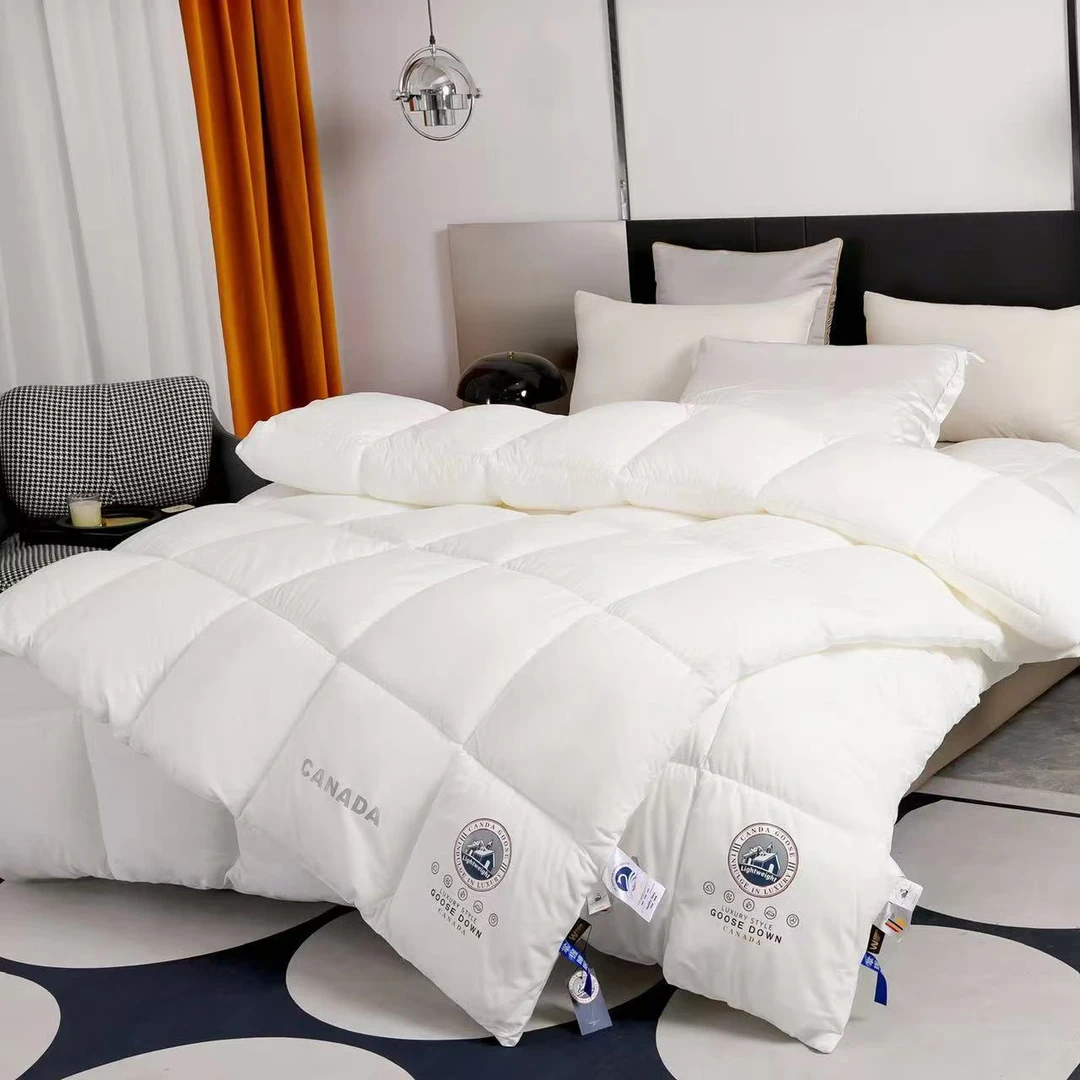 泰迪熊冰岛绒超柔羊绒蛋白羽丝被！分仓锁温加厚冬被太空被 sp