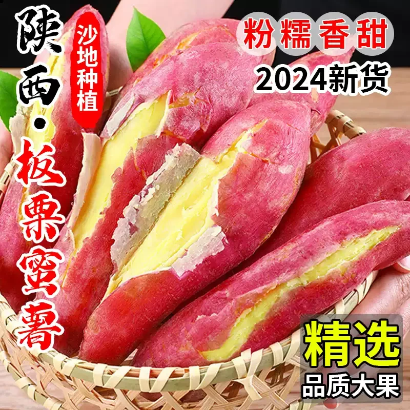 正宗陕西板栗红薯-粉糯香甜地瓜白薯新鲜现挖沙地蜜薯板栗味干面M