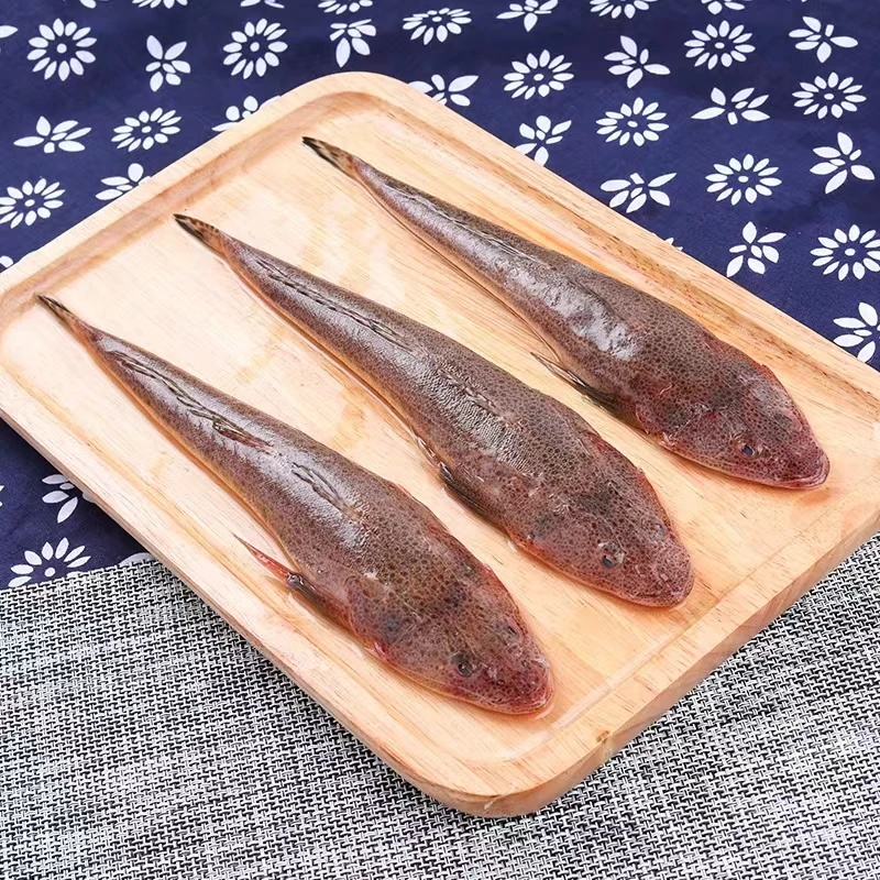 野生海捕牛尾巴鱼，辫子鱼连云港发货