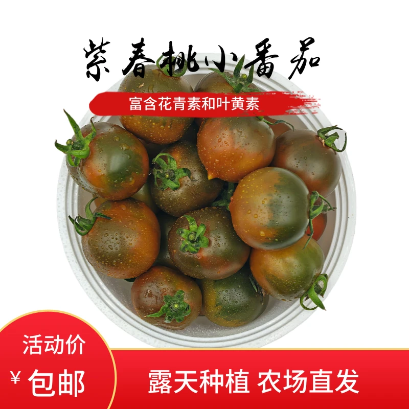 紫宝石小番茄紫春桃西红柿巧克力柿子农场露天新鲜采摘水果2-5斤