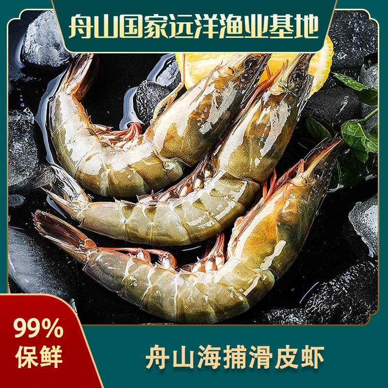 【0利体验】新鲜海捕 大号舟山青壳滑皮虾 金勾虾 船冻 300g/盒*2