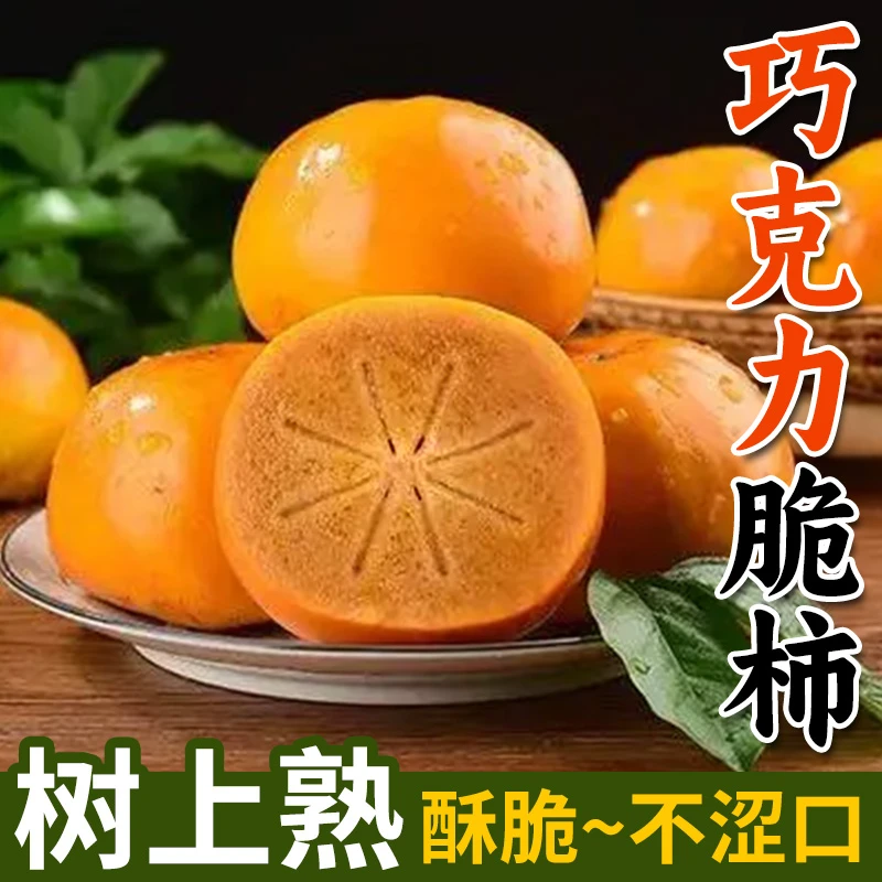【淘天然】新鲜柿子巧克力脆柿子 甜柿子硬柿子削皮即食脆甜