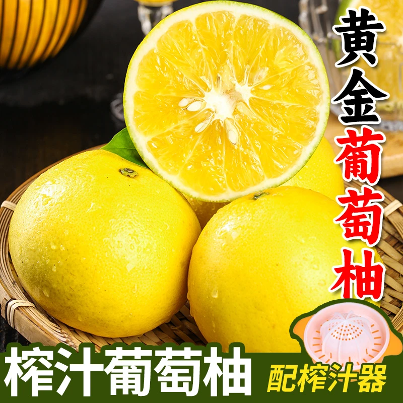 【榨汁专用】福建黄金葡萄柚4.5斤 新鲜柚子皮薄多汁管溪柚子蜜柚