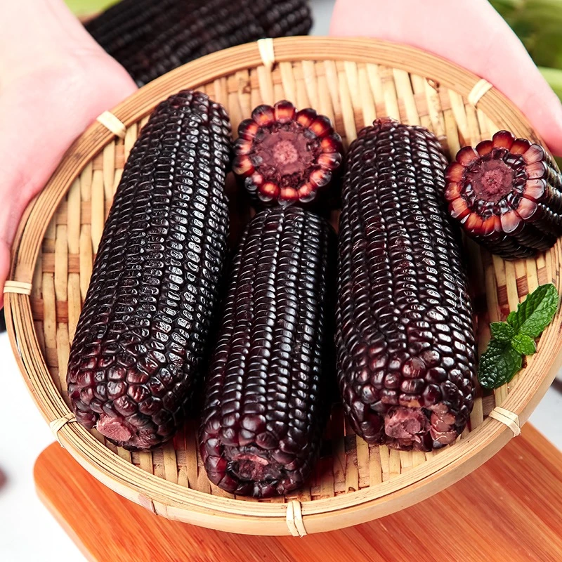 【淘天然】山西浓郁黑糯玉米220g/根黑玉米加热香甜鲜嫩软糯玉米棒