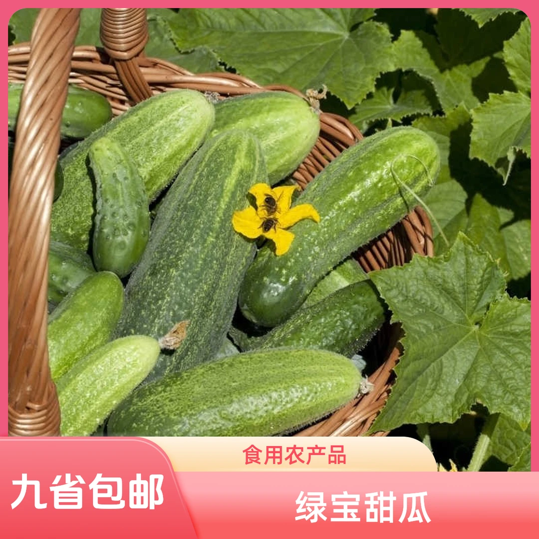 农家黄瓜（九省包邮 江西江苏广东福建上海安徽湖南湖北浙江