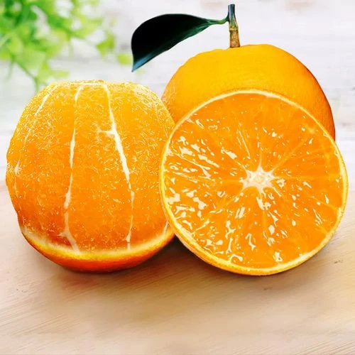 赣南脐橙混合装九省包邮:江西江苏广东福建上海安徽湖南湖北浙江）