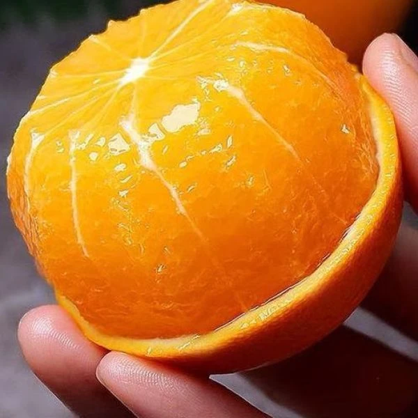 冰糖橙香甜水果净重2.5-9斤爆汁新鲜应季水果产地直销现摘麻阳