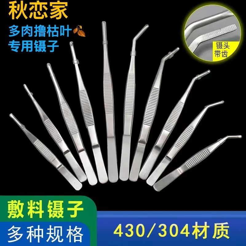 304不锈钢多肉镊子撸枯叶镊子植物种植工具维修镊子实验教学镊子