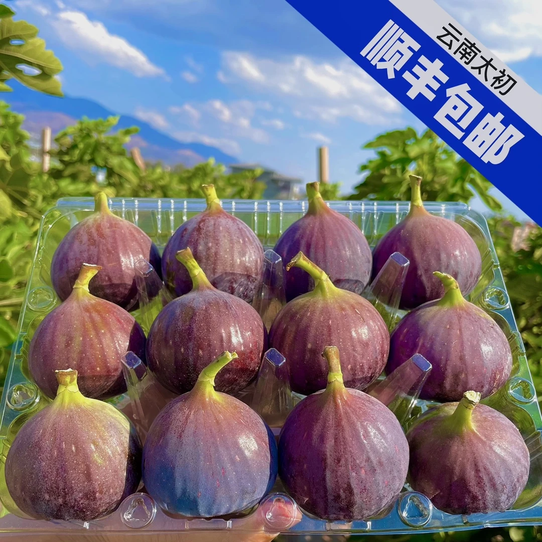 ［顺丰包邮］云南新鲜无花果现摘树上熟精选大果1-5斤