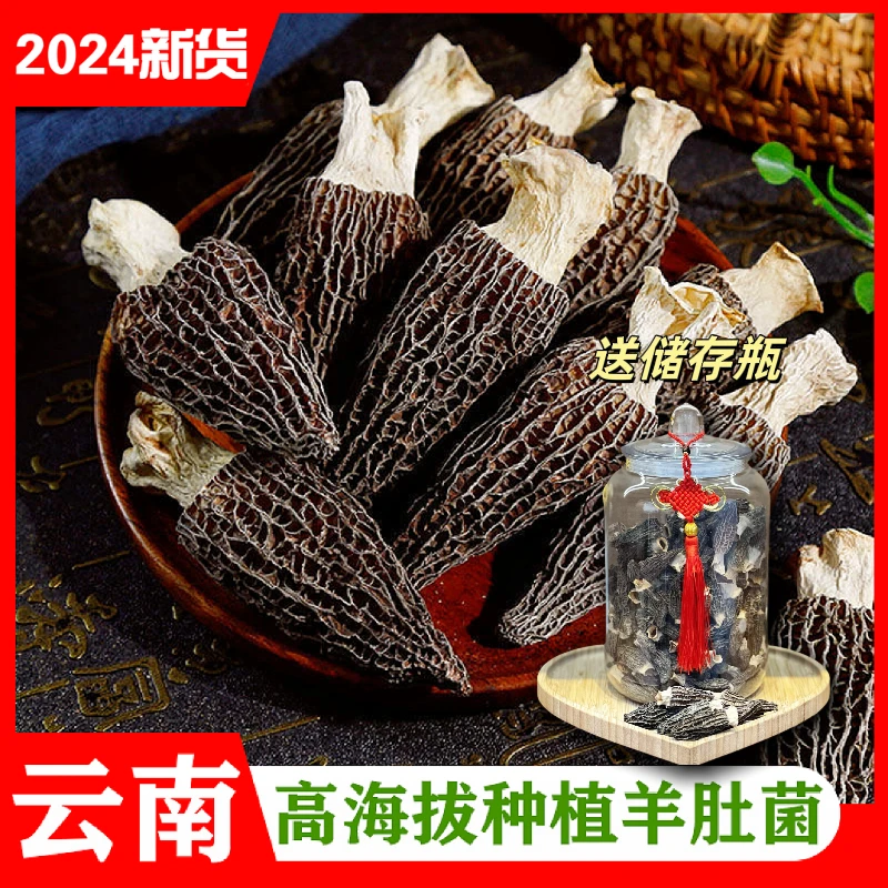 【粉丝专享】羊肚菌干货野生新货新鲜型厚肉饱满食用云南菌菇炖煲汤
