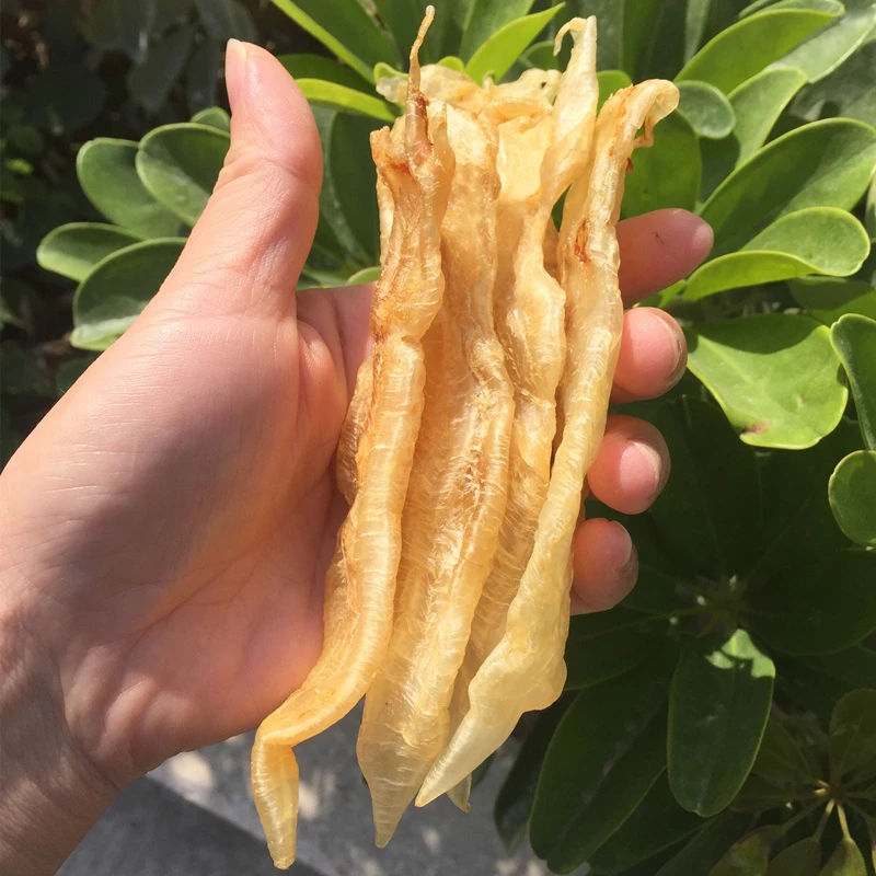 渔民自晒水晶赤嘴鳘鱼胶1-500g