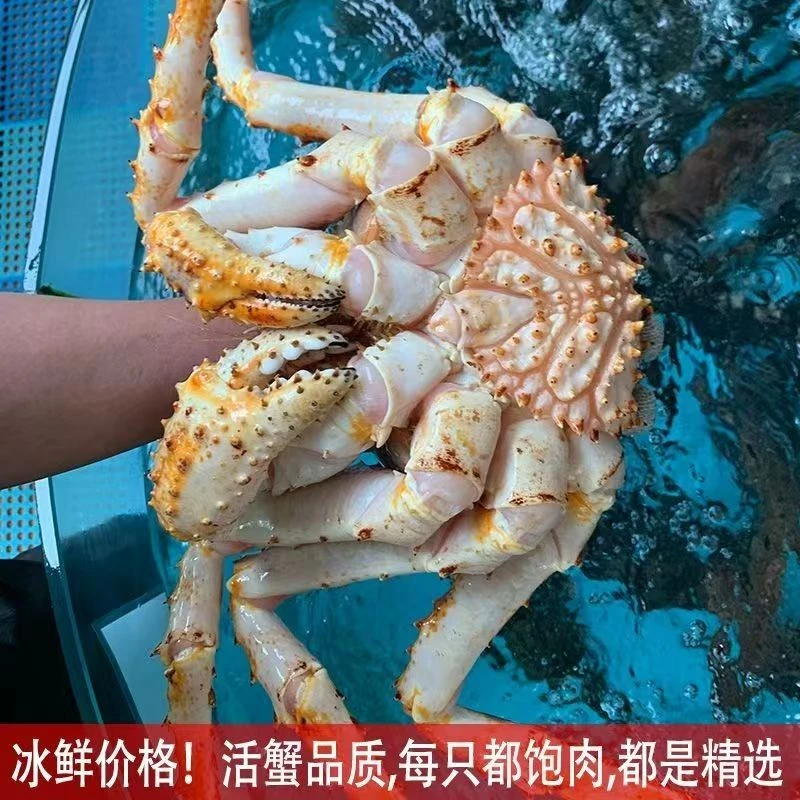 顺丰生鲜俄罗斯勘察加帝王蟹红蟹生冻帝王蟹长脚蟹饱满海鲜水产品
