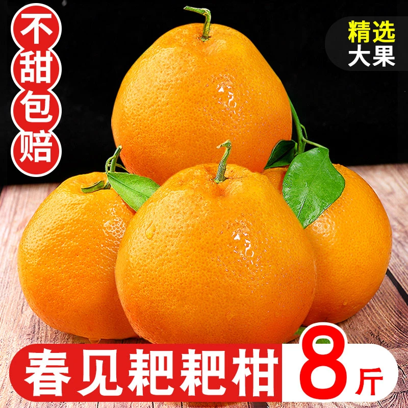 四川春见耙耙柑新鲜品质当季整箱正宗粑粑柑杷杷柑丑桔橘5-8斤果