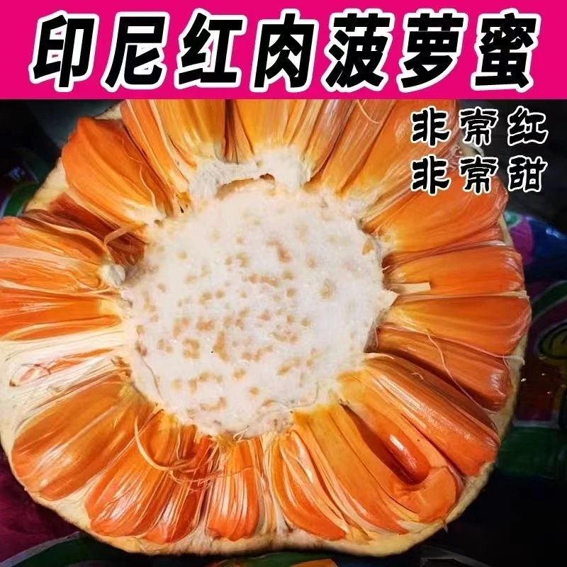 越南100%进口印尼红菠萝蜜甜到无法想象