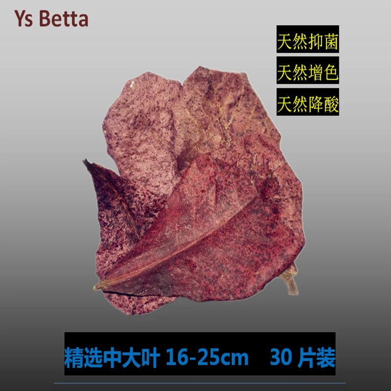 泰国斗鱼榄仁叶水族箱鱼缸乌龟缸PH值调节剂小型鱼榄仁叶茶包包邮