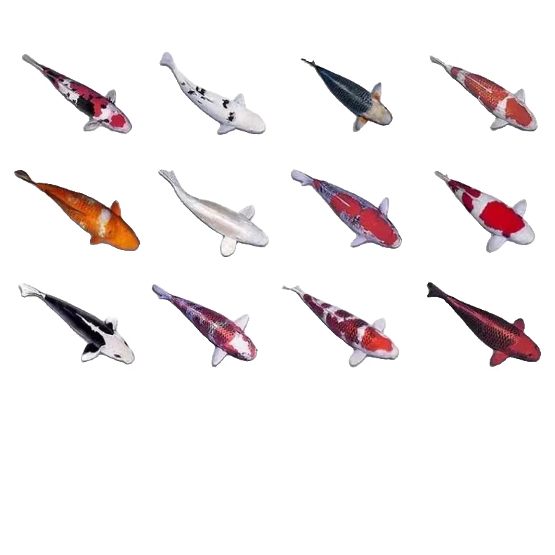 精品红白大正黑金紫金锦鲤