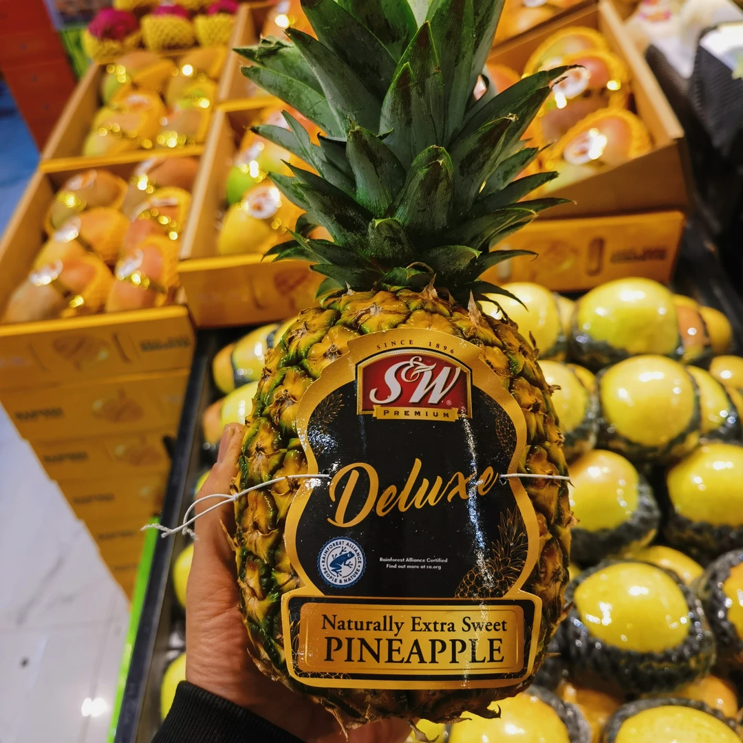 SW黑标凤梨一个大果