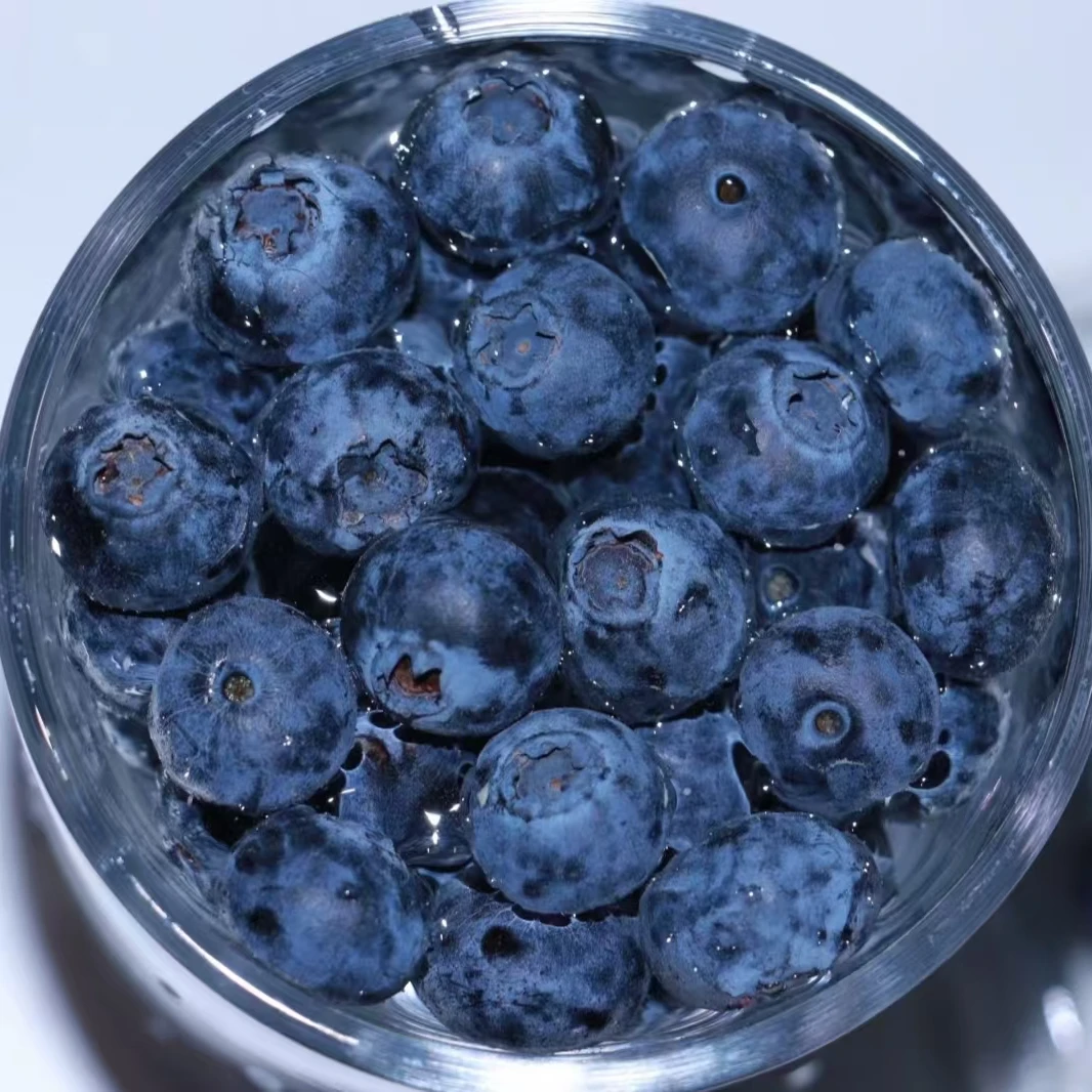 头茬大果八甜两酸【15-18mm+】新鲜蓝莓现摘现发宝宝孕妈搭档