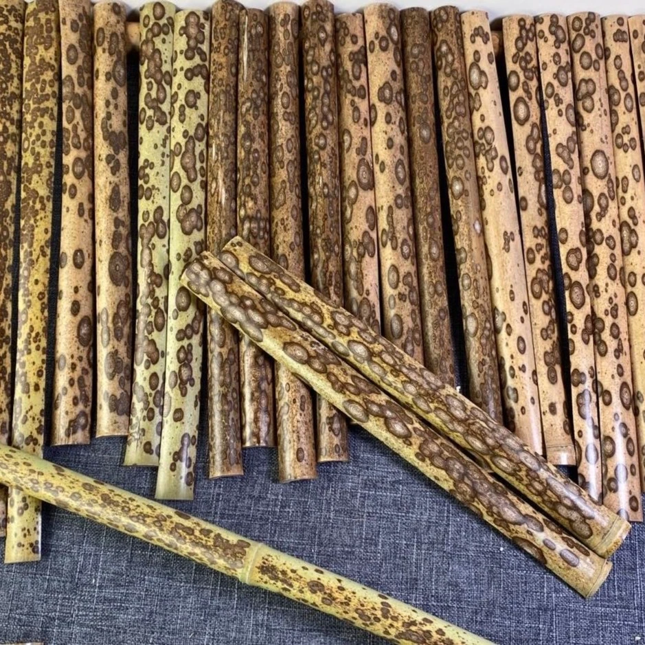 文玩折扇原材料0-550