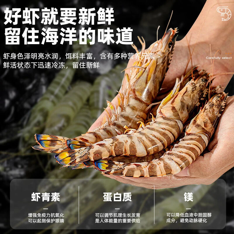 野生斑节虾花虾小九节虾快递压冰速冻发货 顺丰冷链新鲜鲜活肉质