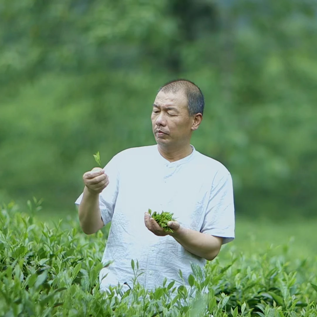 【君子】2024年野生茶祁门红茶 50g 非遗大师祁门红茶 祁红