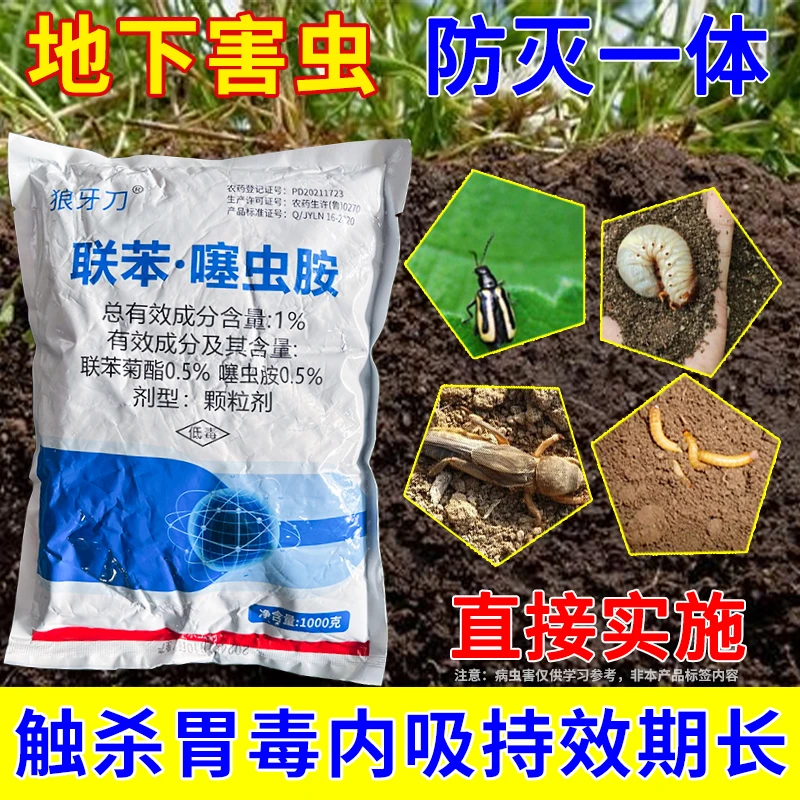 联苯噻虫胺地上地下害虫撒施颗粒韭菜地蛆地老虎黄条跳甲防虫颗粒