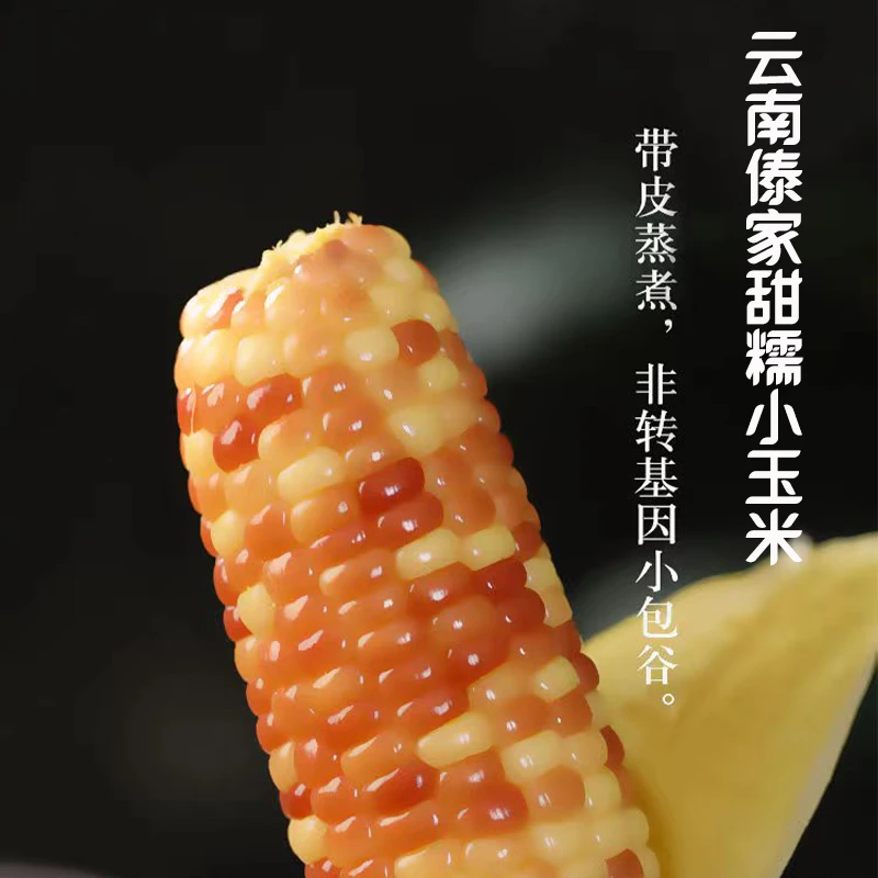 云南西双版纳老品种小花糯玉米新鲜采摘真空包装香甜软糯玉米