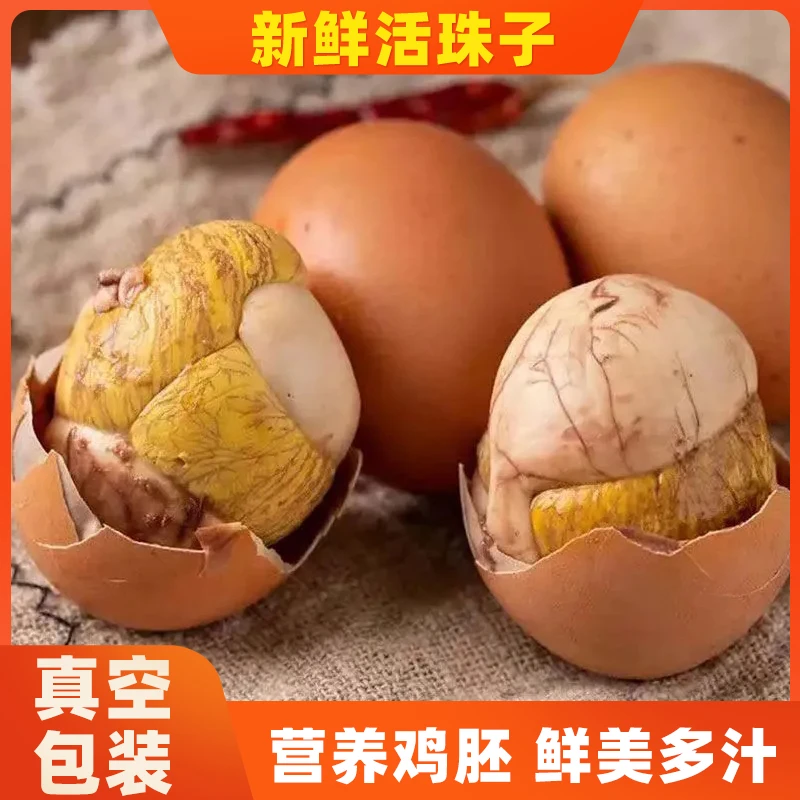 13天香辣活蛋珠子钢化蛋2枚-40枚毛蛋凤凰蛋喜蛋开袋即食鸡胚蛋