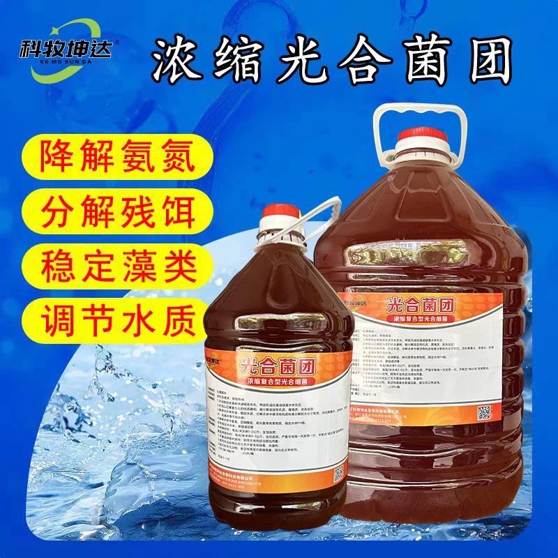 科牧坤达光合细菌母液繁殖扩培用种子调水净水降氨氮水产养殖