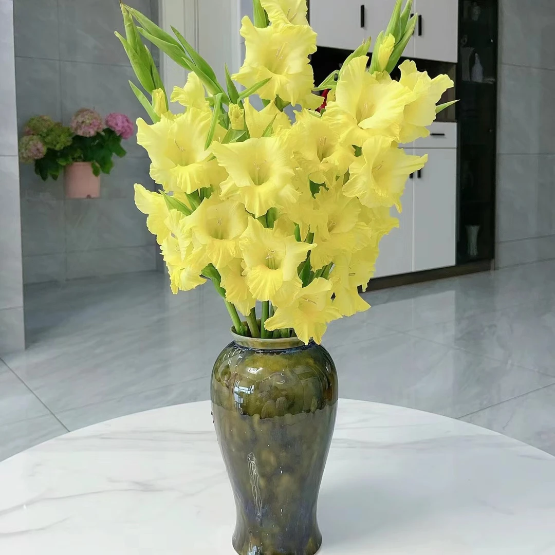 黄色剑兰花  居家办公优选  东北基地发货