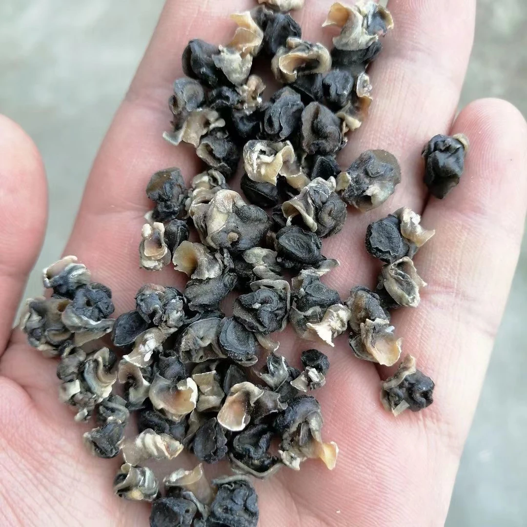 晒干石螺肉螺肉干捞螺蛳粉专用材料商用农家干货螺肉