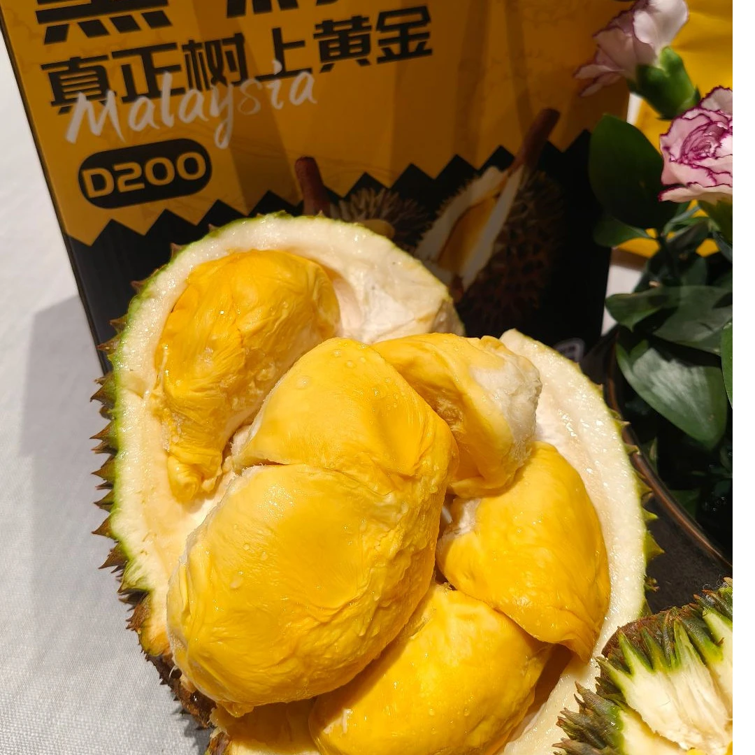 D200黑刺榴莲保四房