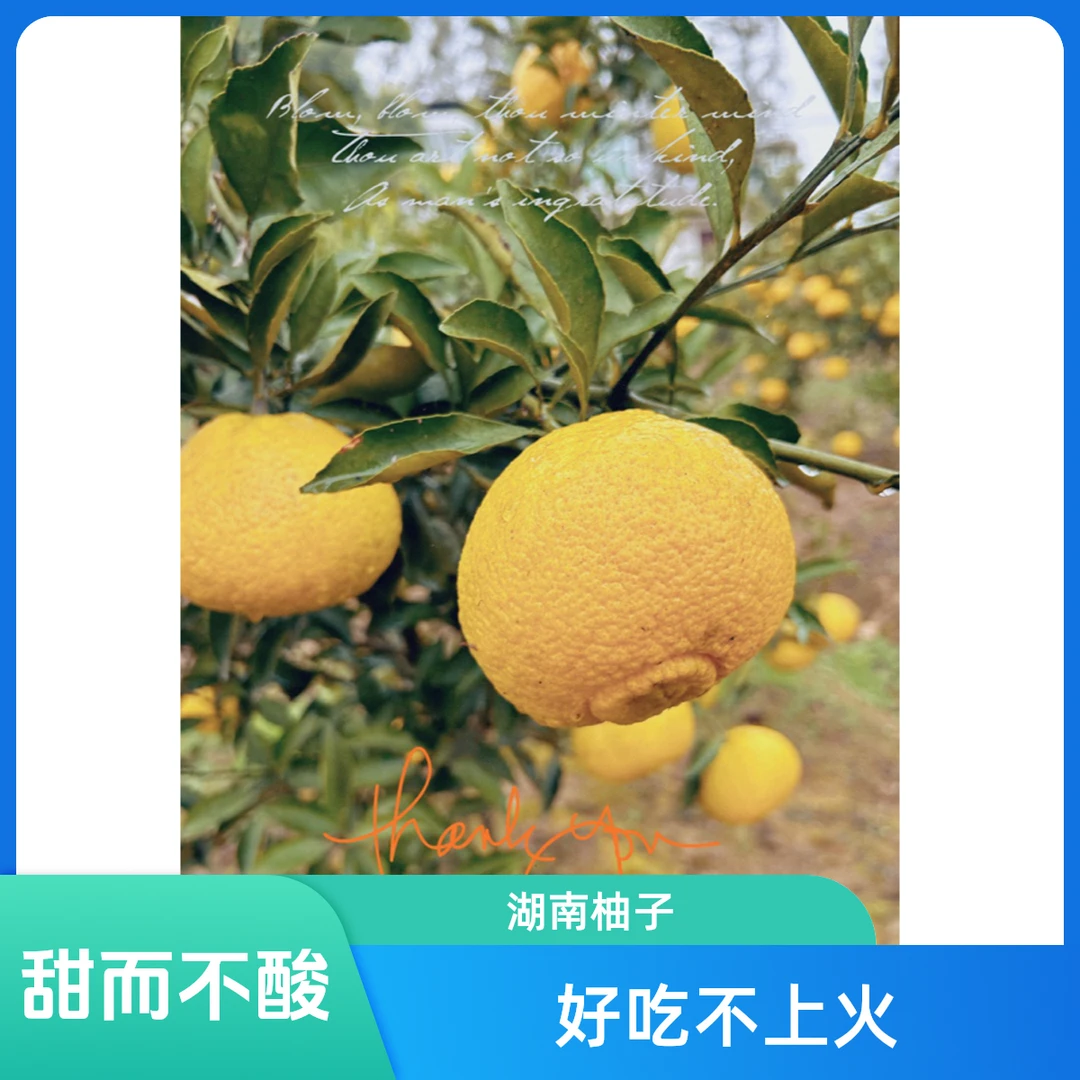 湖南农家纯甜无酸黄金贡柚好吃不上火大果十斤一整箱包邮