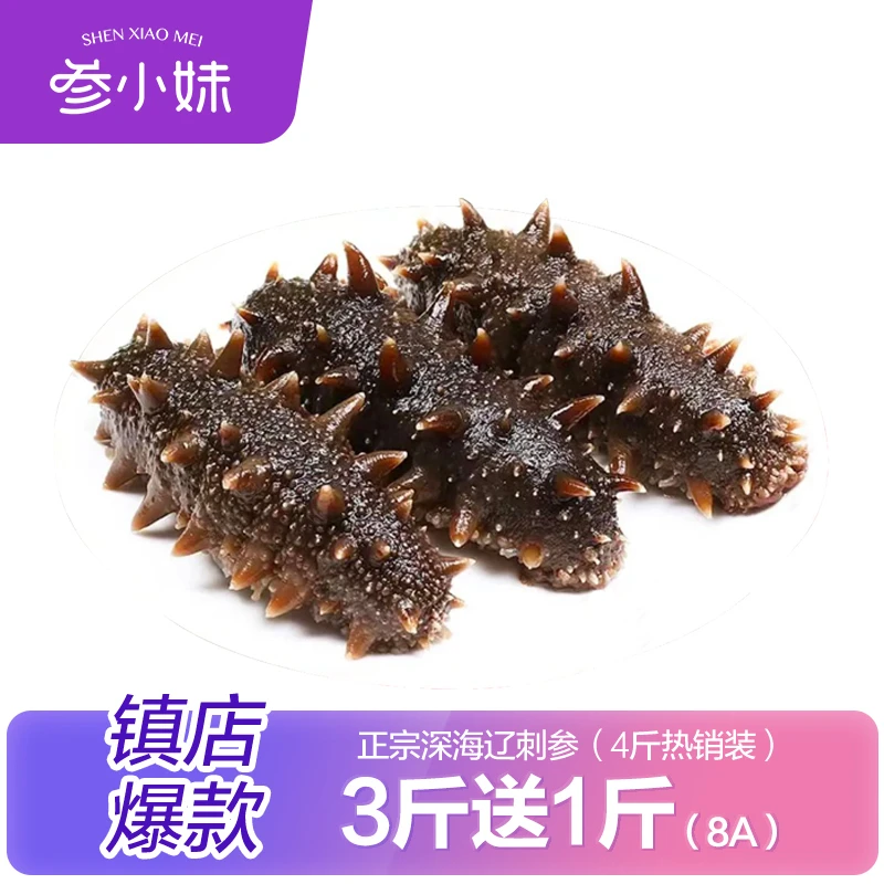 【官方补贴】鲜食海参4斤5-6头/斤参小妹好吃营养正宗辽宁辽刺参