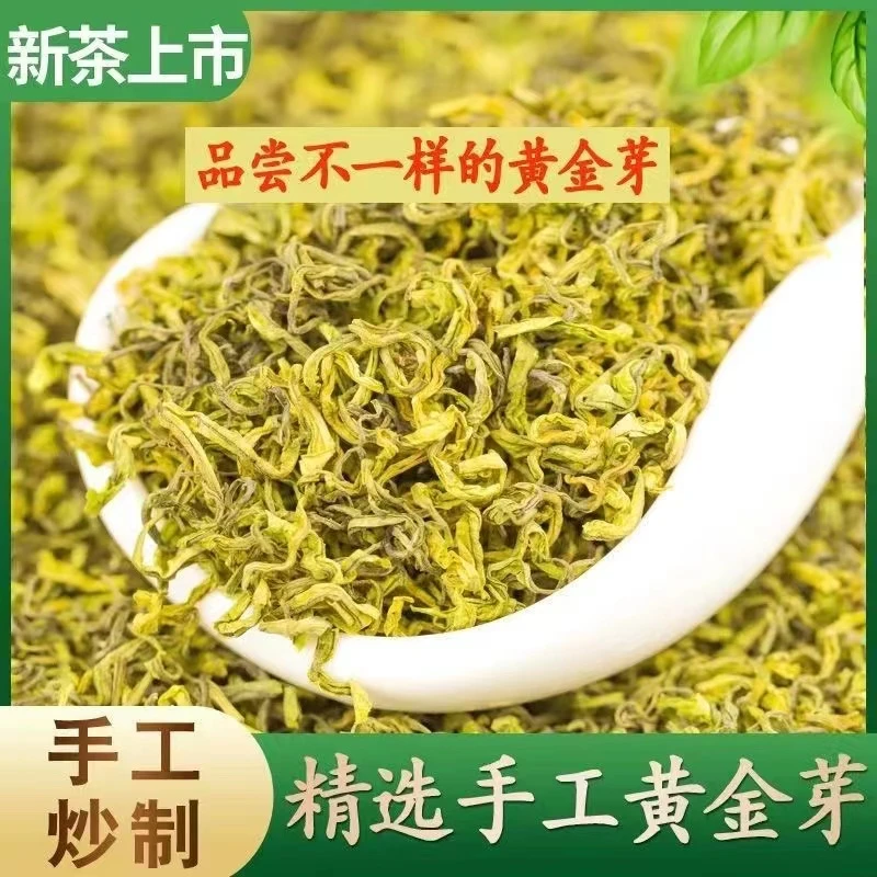 2025绿茶手工揉捻黄金芽绿茶板栗香豆香浓香型耐泡口粮茶推荐白茶