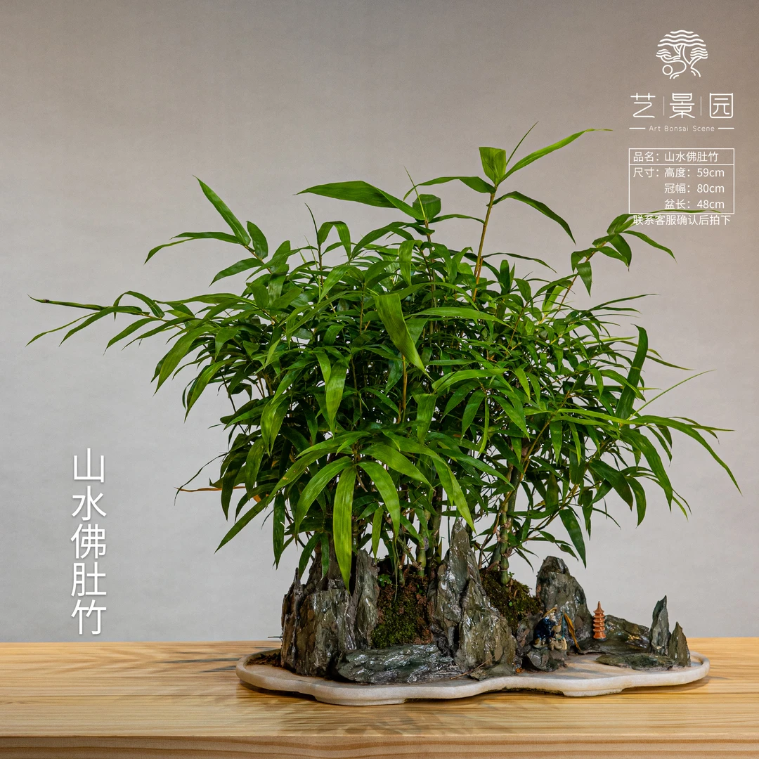 【艺景园-林燕】室内室外茶桌书桌摆放盆景一物一拍