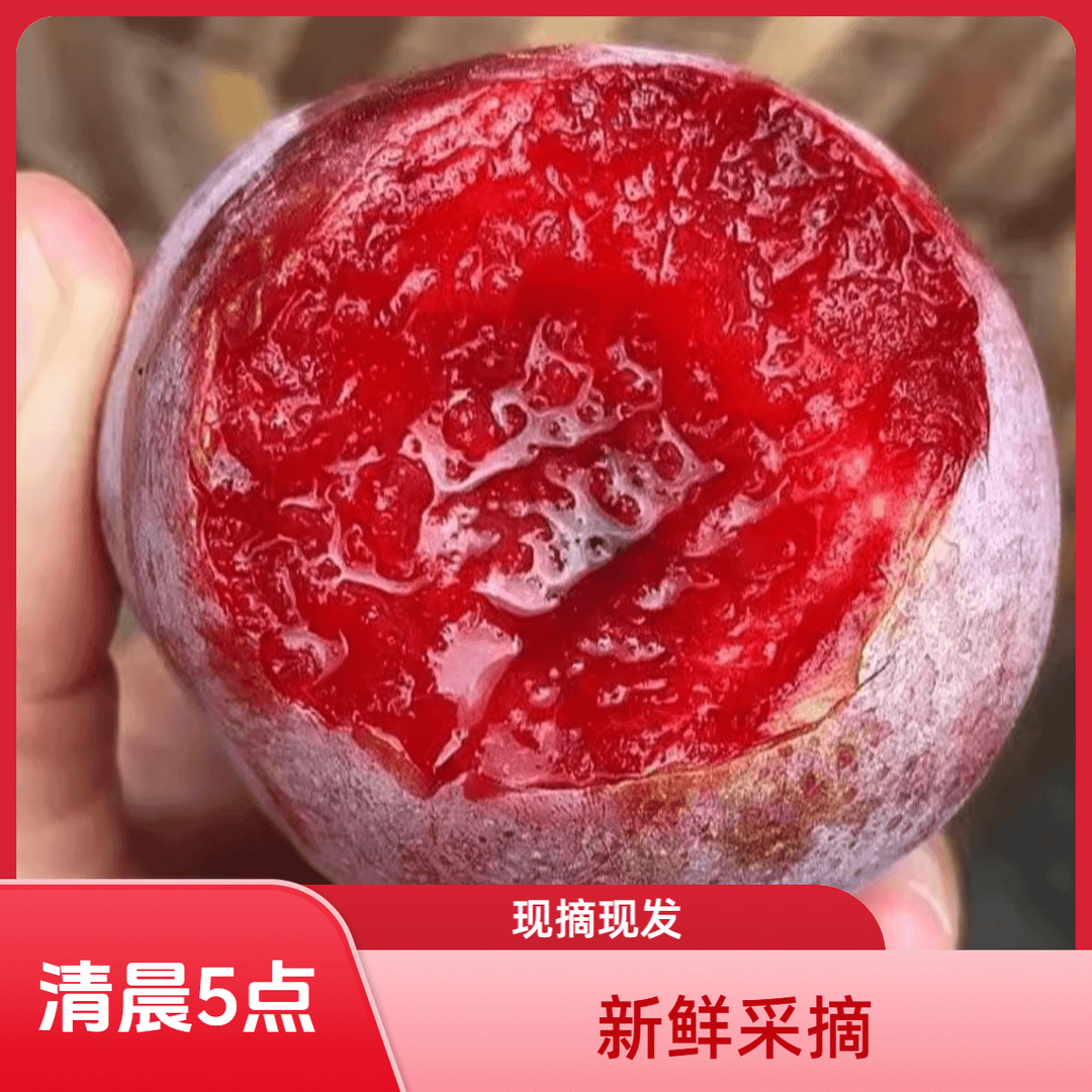 福建红心李子胭脂李脆李芙蓉李新鲜孕妇水果酸甜脆果现摘现发李子