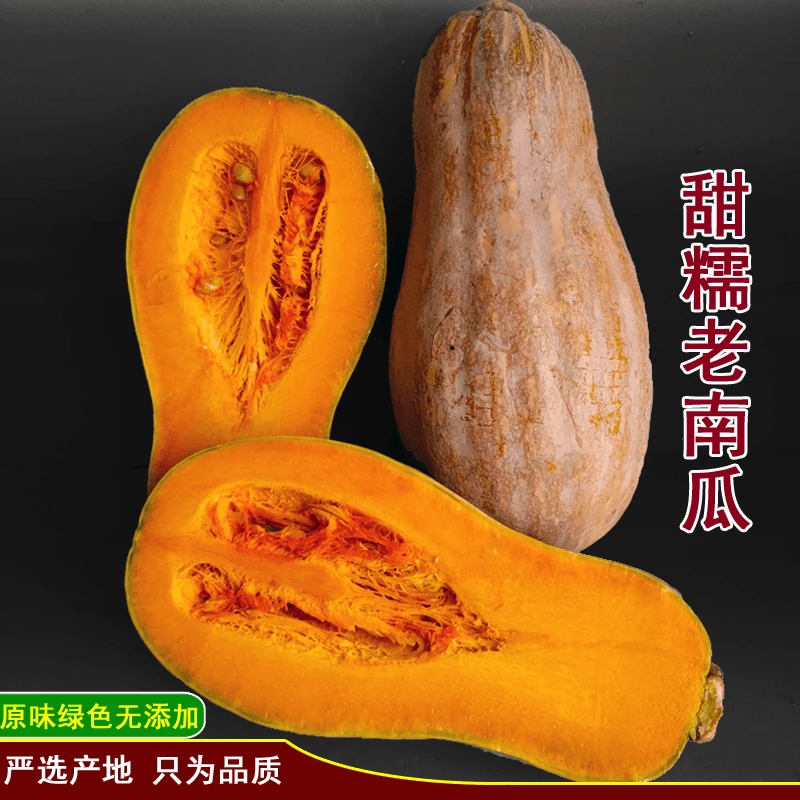 严选贵州新鲜蜜本自种长蜜本老品种蔬菜新鲜特色蔬菜家里产地直销