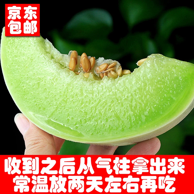 【京东】山东玉菇甜瓜 净重4.8斤起 皮略厚